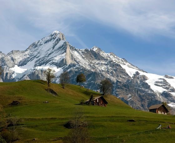 viajes de ski, alpes suizos